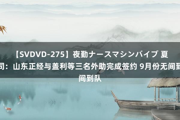 【SVDVD-275】夜勤ナースマシンバイブ 夏晓司：山东正经与盖利等三名外助完成签约 9月份无间到队