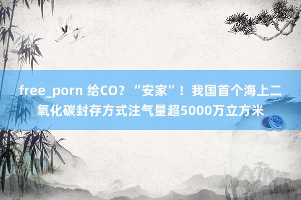 free_porn 给CO？“安家”！我国首个海上二氧化碳封存方式注气量超5000万立方米